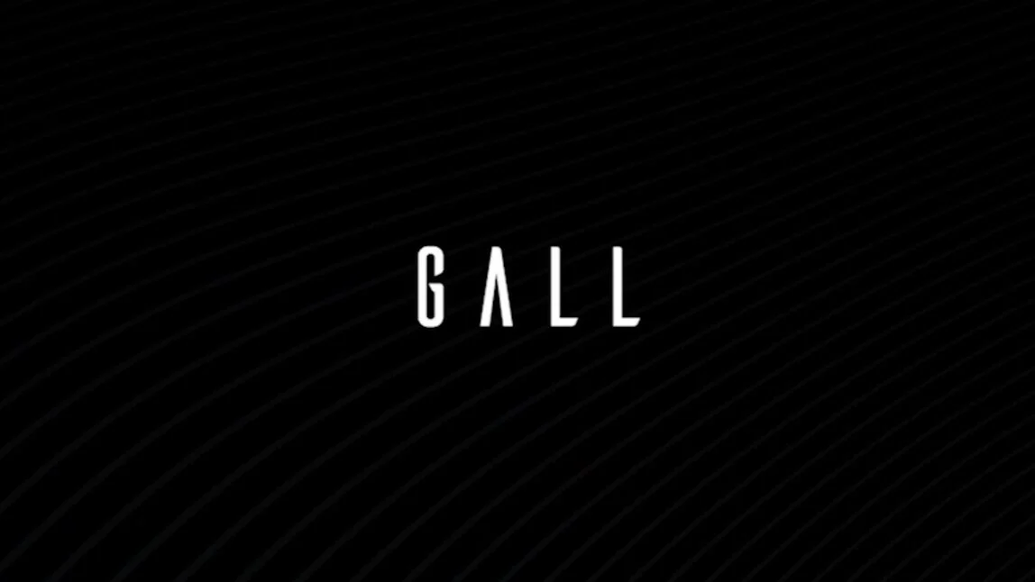 GALL (NYDIA Collection Runway Experience)